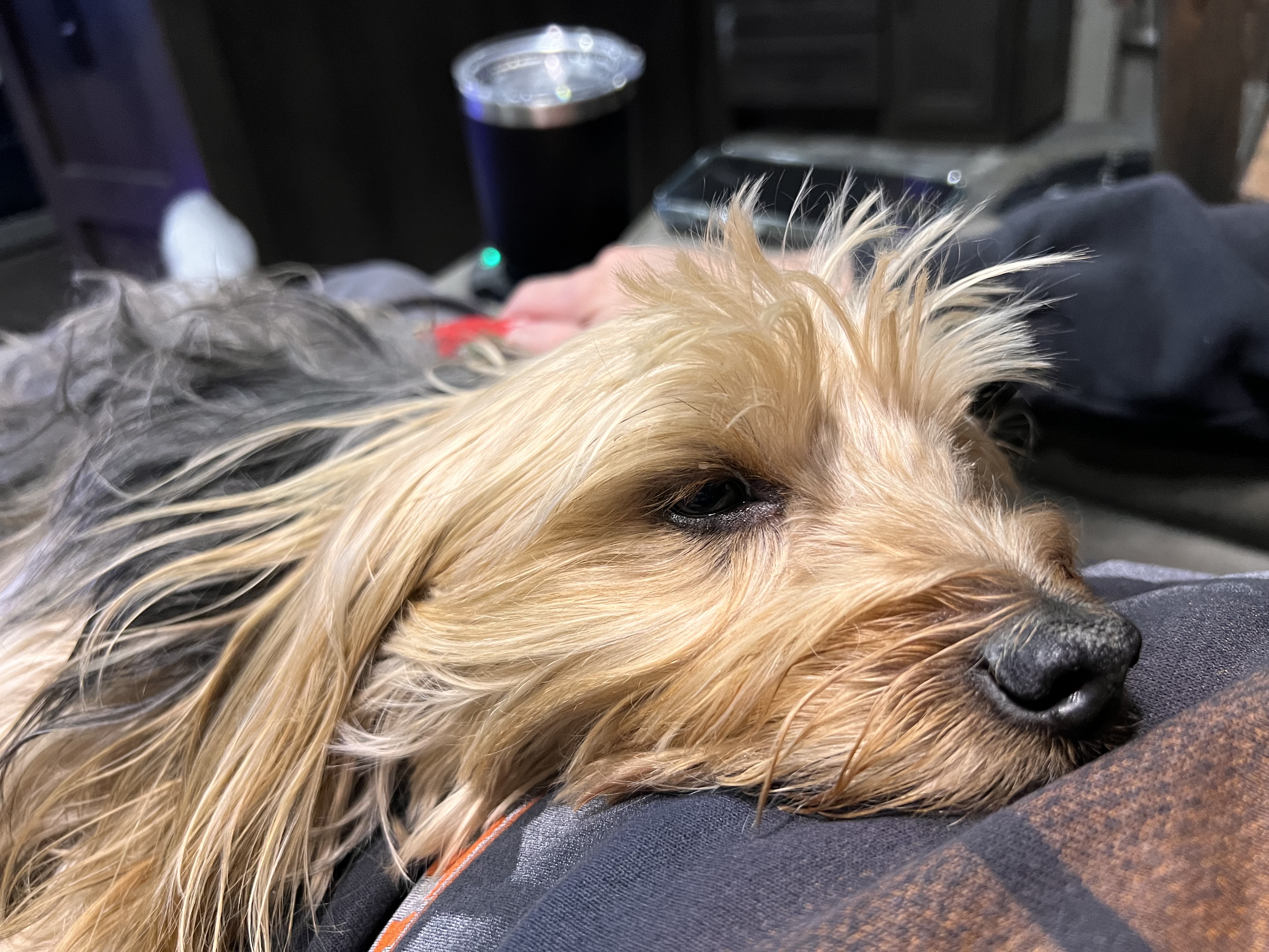 ./2023/01 - New Bern/IMG_6181.JPG